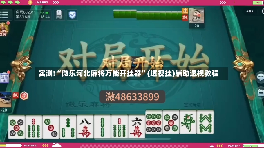 实测!“微乐河北麻将万能开挂器”(透视挂)辅助透视教程-第3张图片