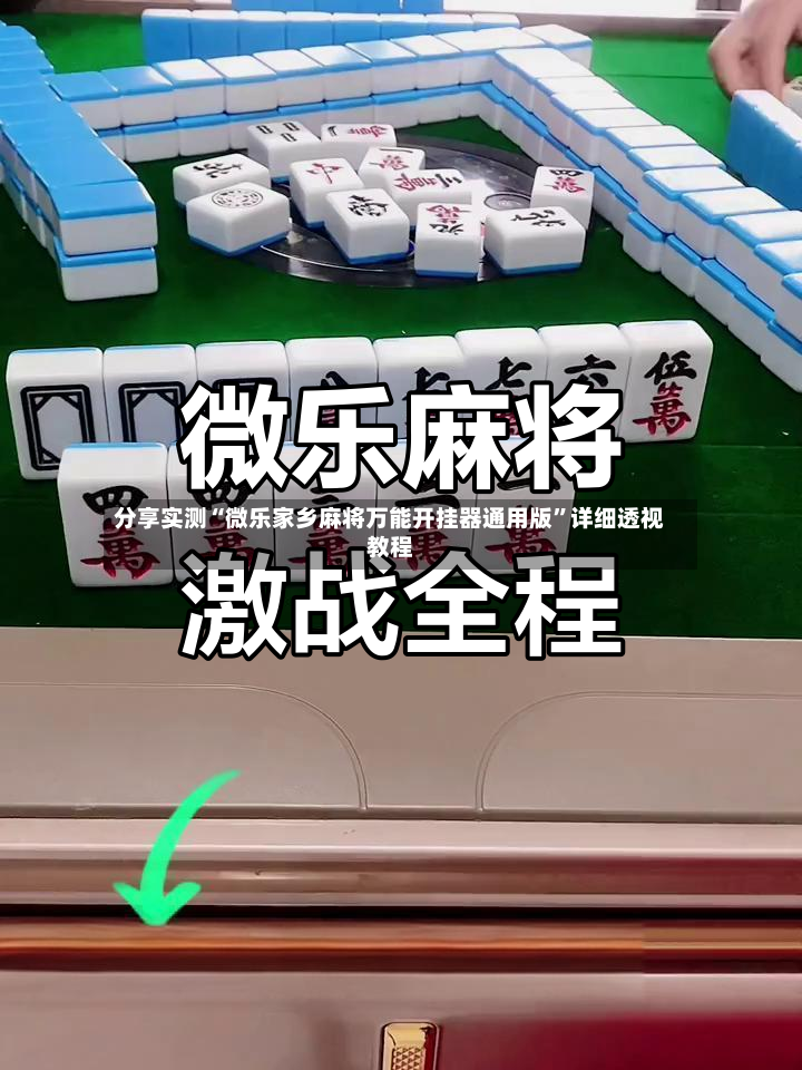分享实测“微乐家乡麻将万能开挂器通用版	”详细透视教程-第2张图片