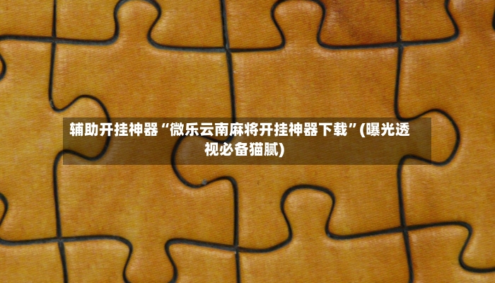 辅助开挂神器“微乐云南麻将开挂神器下载”(曝光透视必备猫腻)