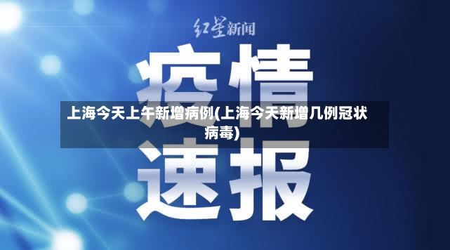上海今天上午新增病例(上海今天新增几例冠状病毒)