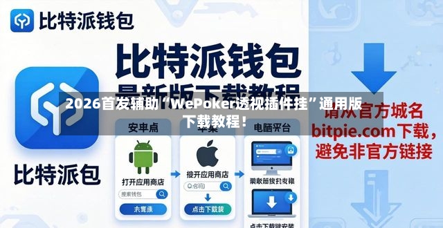 2026首发辅助“WePoker透视插件挂”通用版下载教程！-第2张图片
