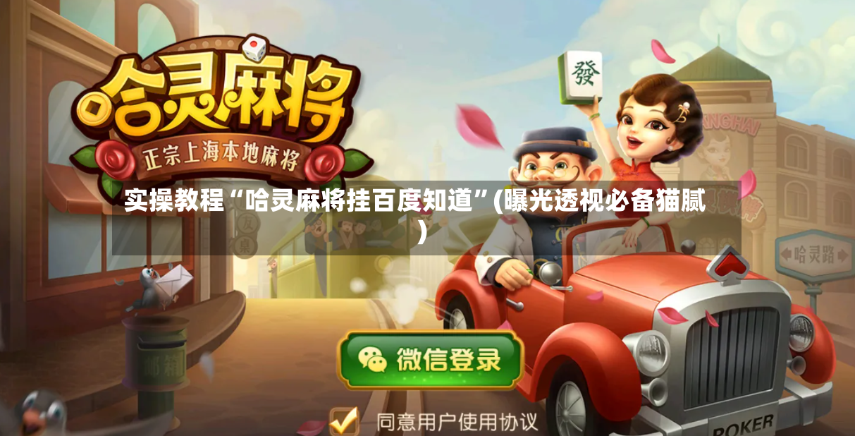 实操教程“哈灵麻将挂百度知道”(曝光透视必备猫腻)-第2张图片