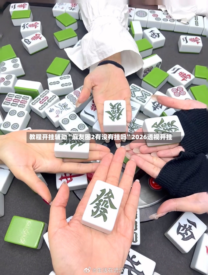 教程开挂辅助“麻友圈2有没有挂吗”2026透视开挂