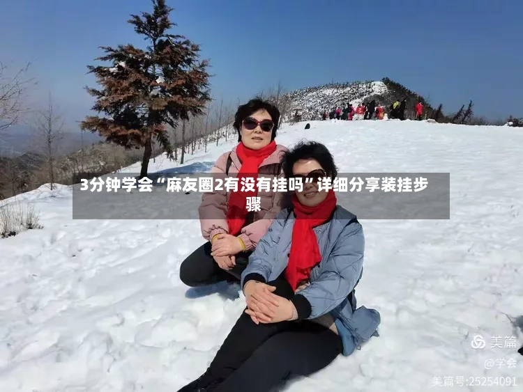 3分钟学会“麻友圈2有没有挂吗”详细分享装挂步骤-第2张图片