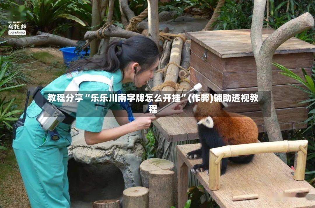 教程分享“乐乐川南字牌怎么开挂”(作弊)辅助透视教程