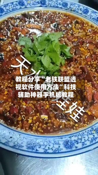 教程分享“老铁联盟透视软件使用方法”科技辅助神器手机版教程-第2张图片