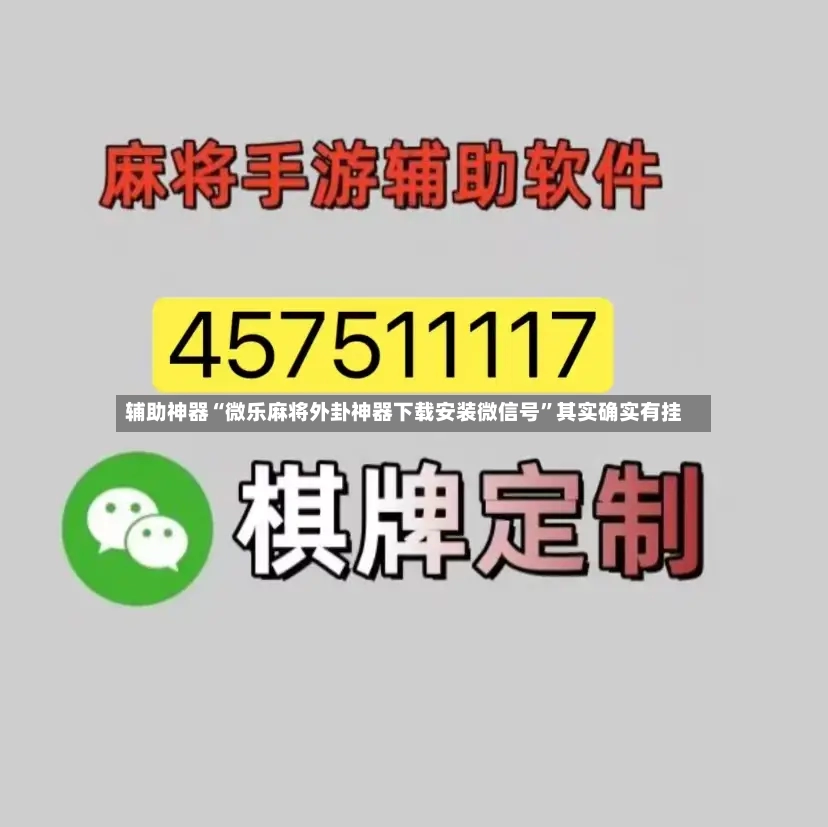 辅助神器“微乐麻将外卦神器下载安装微信号”其实确实有挂