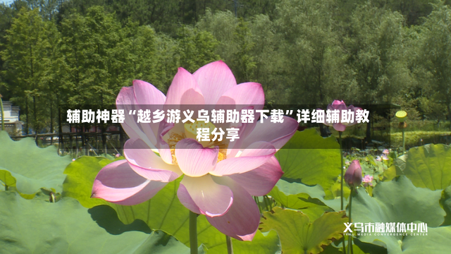 辅助神器“越乡游义乌辅助器下载”详细辅助教程分享