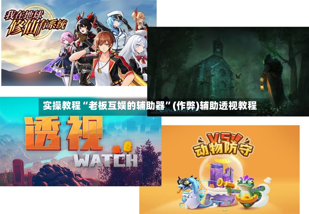 实操教程“老板互娱的辅助器”(作弊)辅助透视教程-第3张图片