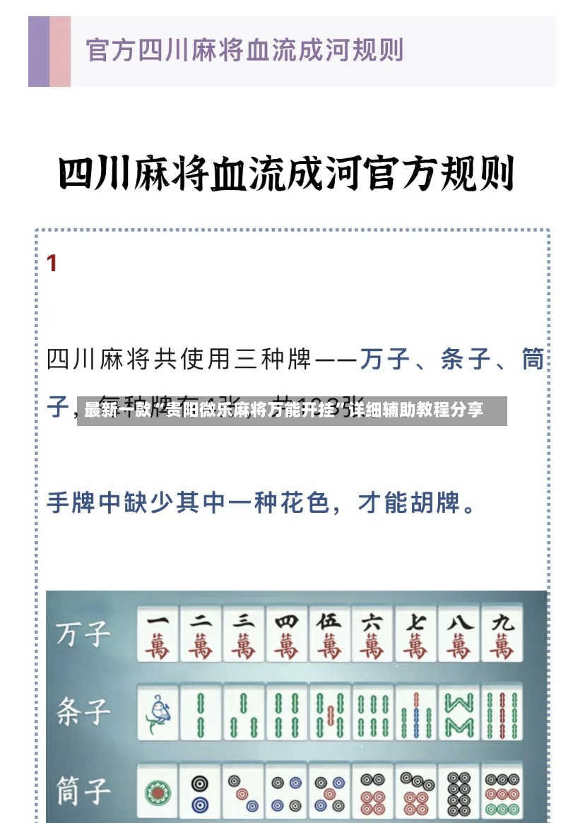 最新一款“贵阳微乐麻将万能开挂”详细辅助教程分享-第2张图片