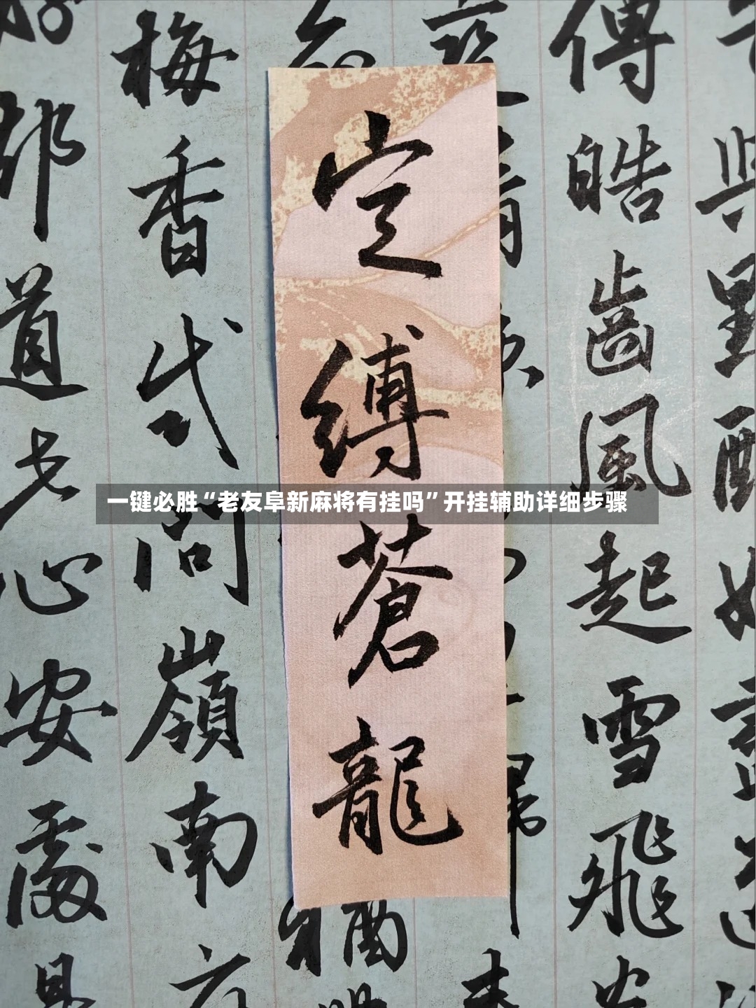 一键必胜“老友阜新麻将有挂吗”开挂辅助详细步骤-第3张图片
