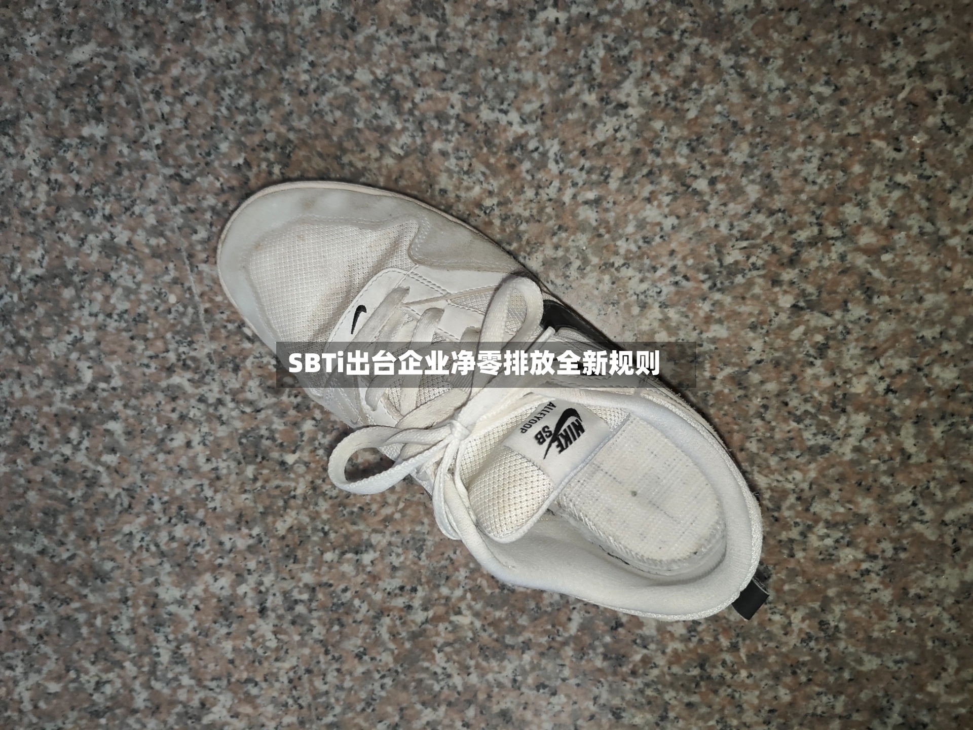 SBTi出台企业净零排放全新规则
