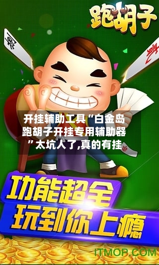开挂辅助工具“白金岛跑胡子开挂专用辅助器”太坑人了,真的有挂-第2张图片