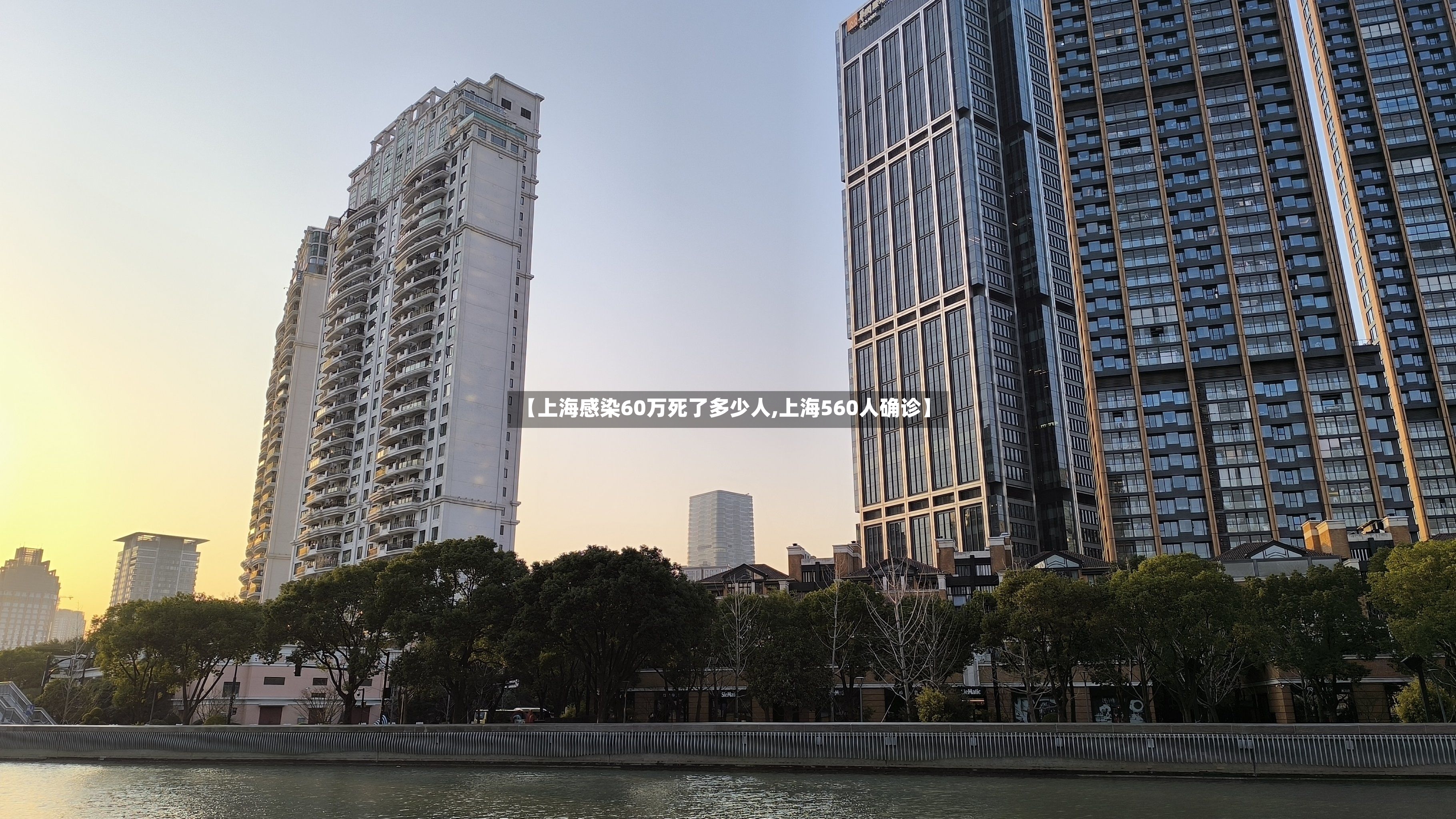 【上海感染60万死了多少人,上海560人确诊】-第3张图片