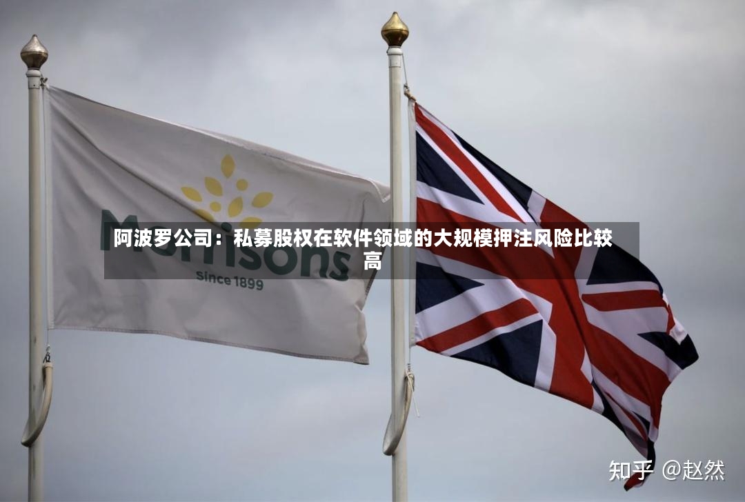 阿波罗公司：私募股权在软件领域的大规模押注风险比较高
