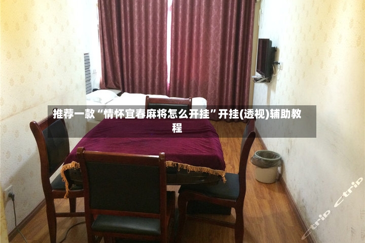 推荐一款“情怀宜春麻将怎么开挂”开挂(透视)辅助教程-第3张图片