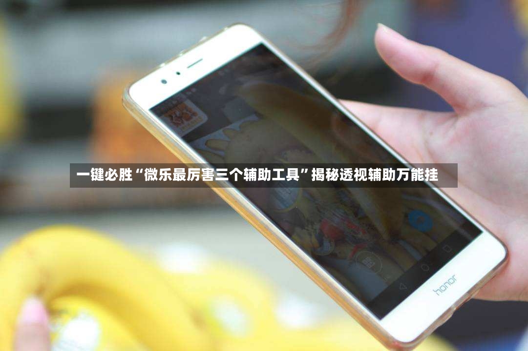 一键必胜“微乐最厉害三个辅助工具	”揭秘透视辅助万能挂-第2张图片