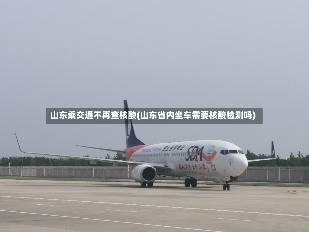 山东乘交通不再查核酸(山东省内坐车需要核酸检测吗)-第2张图片