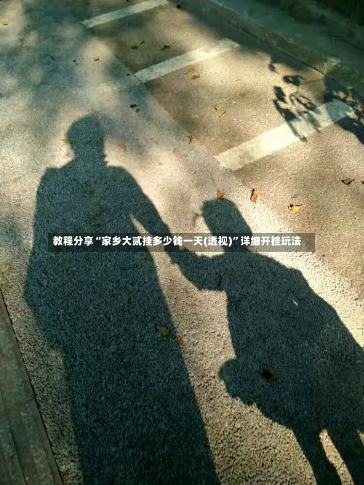 教程分享“家乡大贰挂多少钱一天(透视)”详细开挂玩法-第3张图片