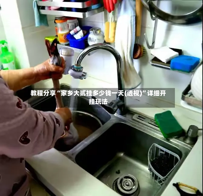 教程分享“家乡大贰挂多少钱一天(透视)”详细开挂玩法
