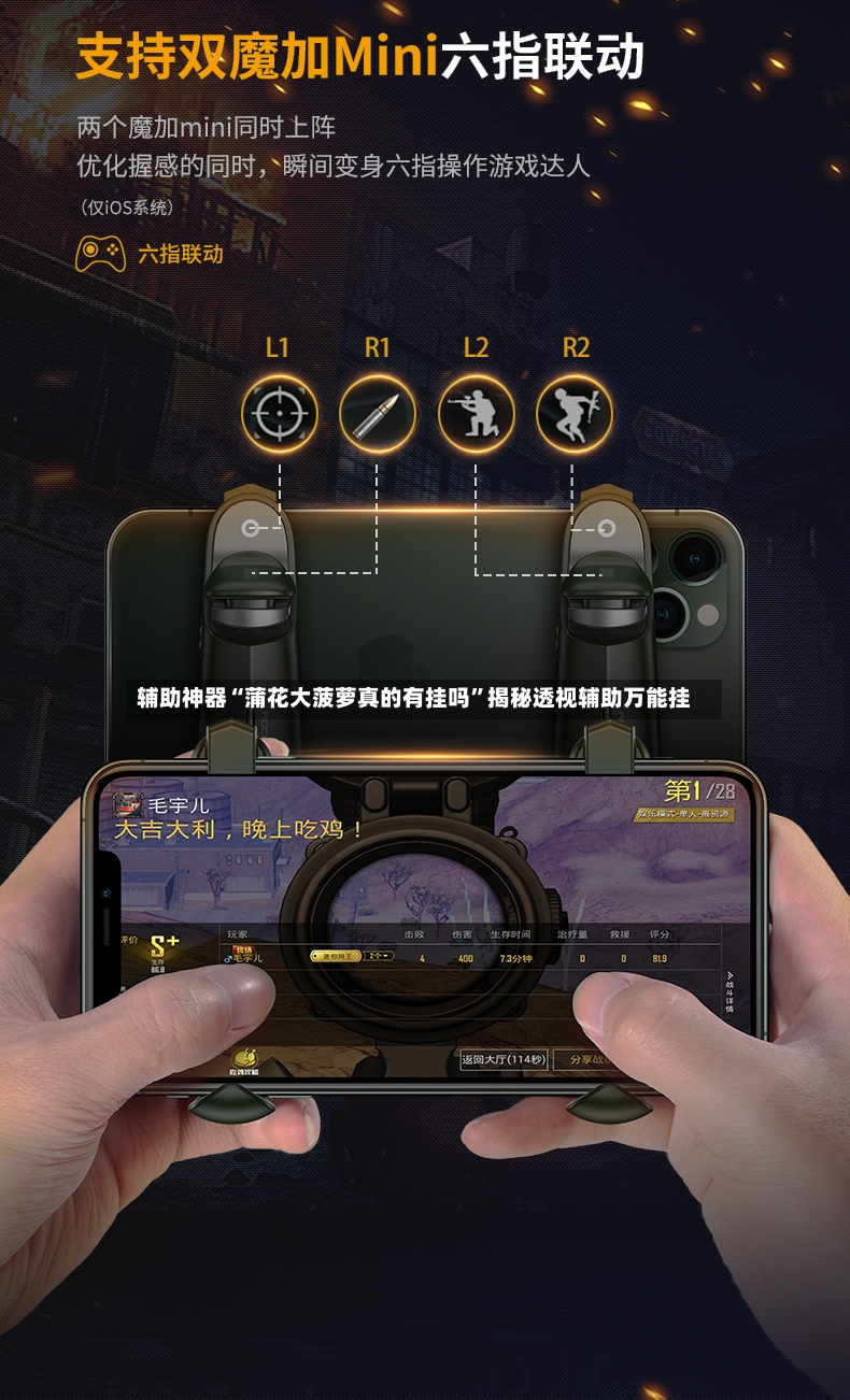 辅助神器“蒲花大菠萝真的有挂吗”揭秘透视辅助万能挂-第2张图片