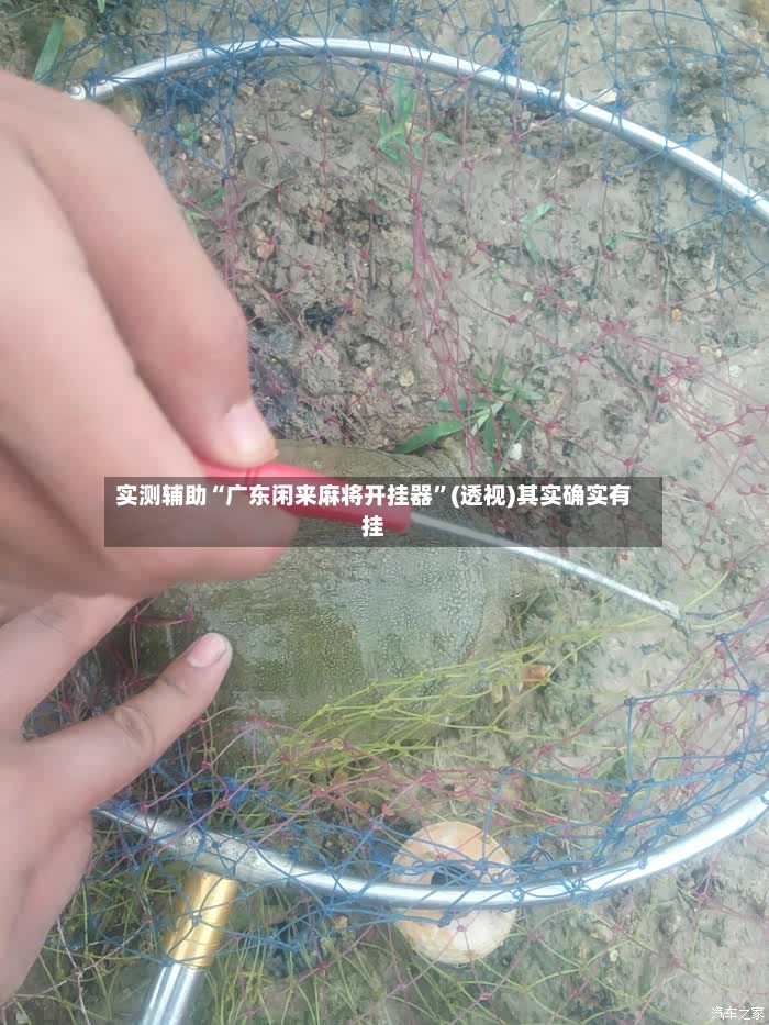 实测辅助“广东闲来麻将开挂器”(透视)其实确实有挂-第2张图片