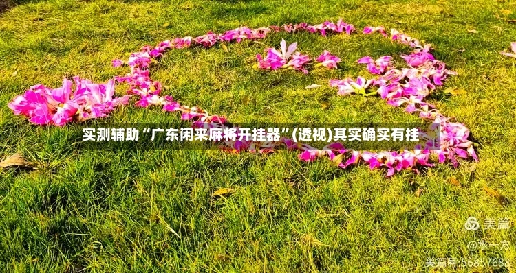 实测辅助“广东闲来麻将开挂器”(透视)其实确实有挂