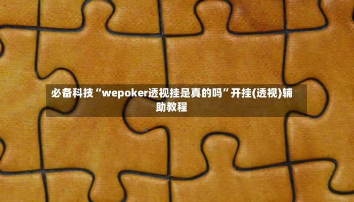 必备科技“wepoker透视挂是真的吗”开挂(透视)辅助教程-第2张图片