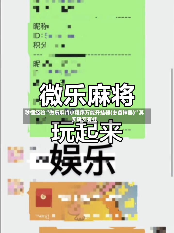 秒懂经验“微乐麻将小程序万能开挂器(必备神器)”其实确实有挂-第2张图片