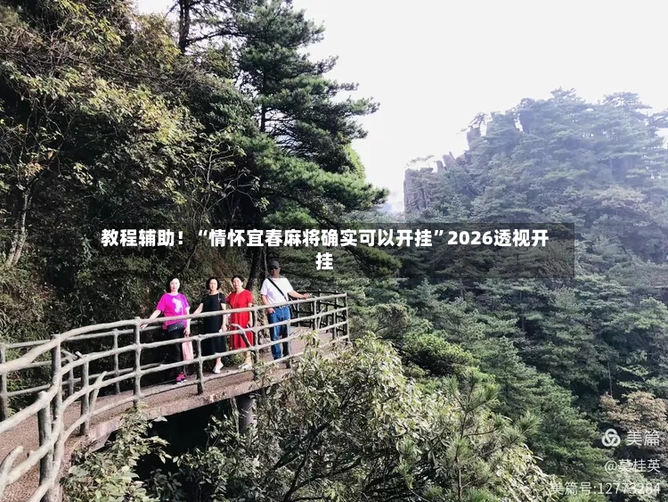 教程辅助！“情怀宜春麻将确实可以开挂”2026透视开挂-第3张图片