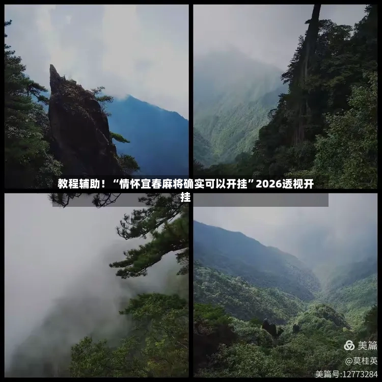 教程辅助！“情怀宜春麻将确实可以开挂”2026透视开挂-第2张图片