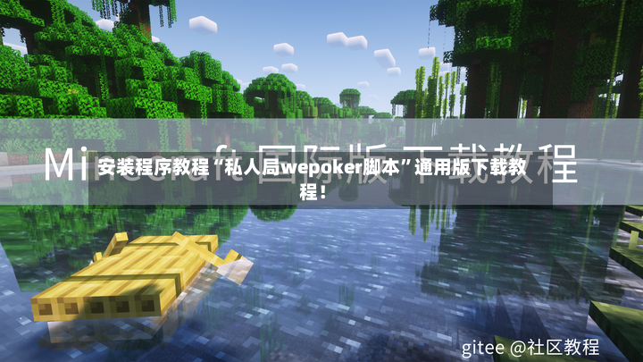 安装程序教程“私人局wepoker脚本	”通用版下载教程！-第2张图片