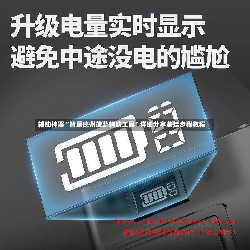 辅助神器“智星德州菠萝辅助工具	”详细分享装挂步骤教程-第2张图片