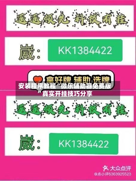 安装程序教程“微乐辅助器免费版	”真实开挂技巧分享-第2张图片