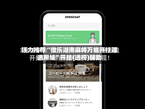 强力推荐“微乐湖南麻将万能开挂器通用版”开挂(透视)辅助-第2张图片