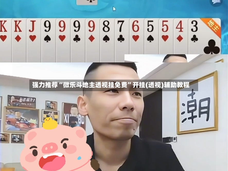 强力推荐“微乐斗地主透视挂免费	”开挂(透视)辅助教程-第3张图片