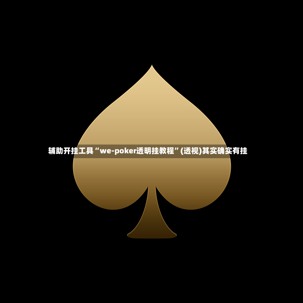 辅助开挂工具“we-poker透明挂教程	”(透视)其实确实有挂-第2张图片