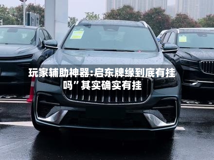 玩家辅助神器:启东牌缘到底有挂吗	”其实确实有挂-第2张图片
