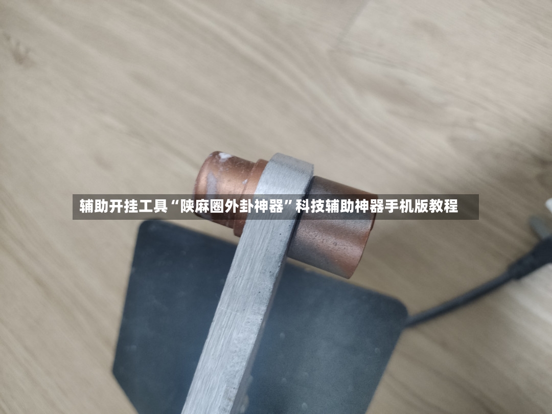 辅助开挂工具“陕麻圈外卦神器	”科技辅助神器手机版教程-第3张图片