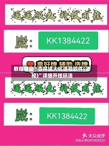 教程辅助“吉祥填大坑透视软件(透视)”详细开挂玩法
