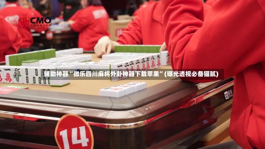 辅助神器“微乐四川麻将外卦神器下载苹果”(曝光透视必备猫腻)-第2张图片