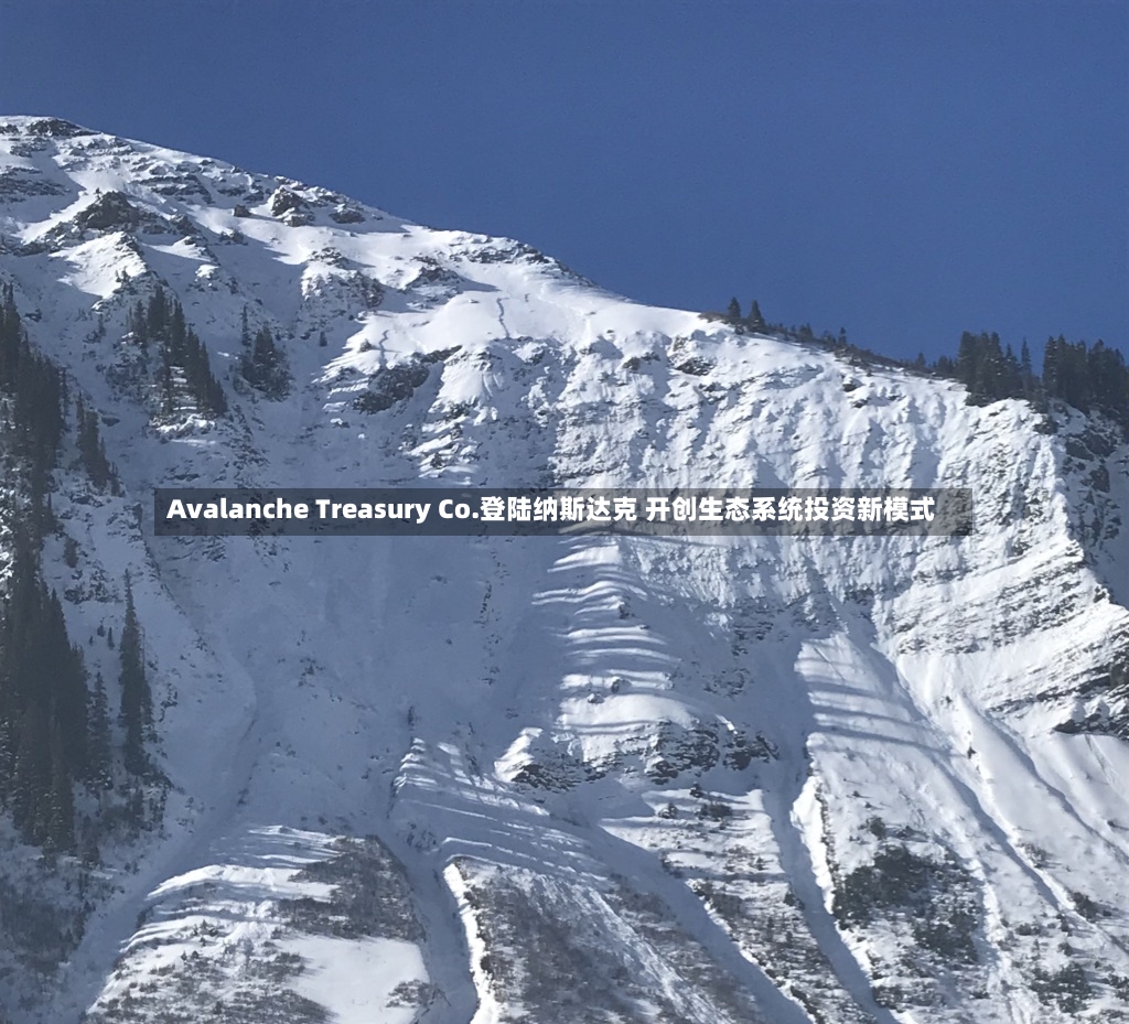 Avalanche Treasury Co.登陆纳斯达克 开创生态系统投资新模式-第2张图片