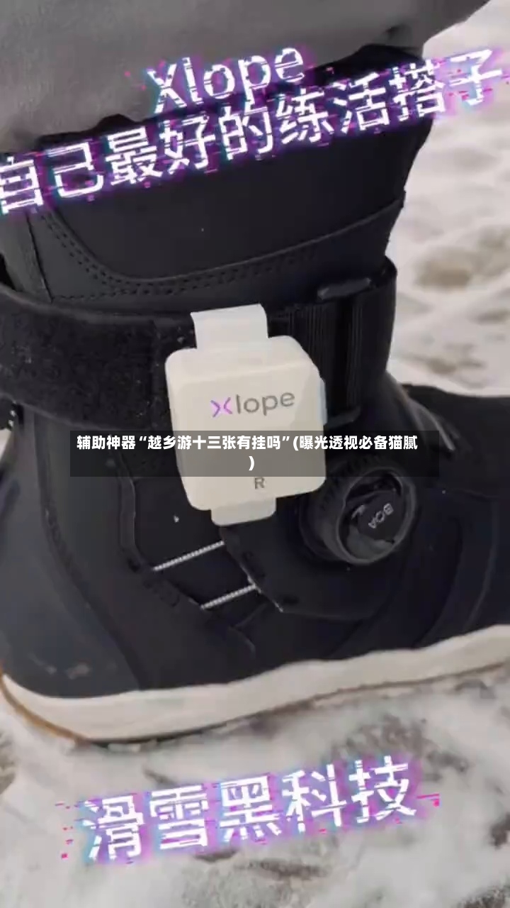 辅助神器“越乡游十三张有挂吗”(曝光透视必备猫腻)-第2张图片