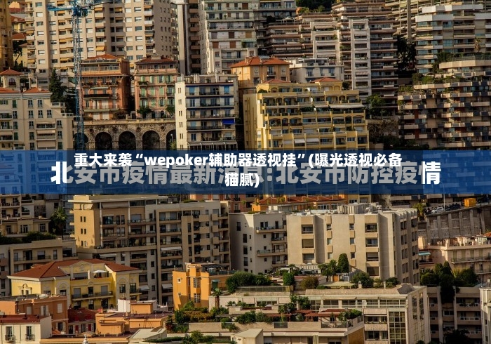 重大来袭“wepoker辅助器透视挂”(曝光透视必备猫腻)-第3张图片