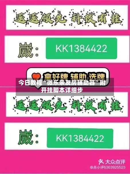 今日教程“微乐亲友房辅助器	”附开挂脚本详细步-第3张图片