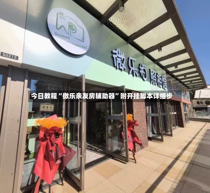 今日教程“微乐亲友房辅助器”附开挂脚本详细步-第2张图片