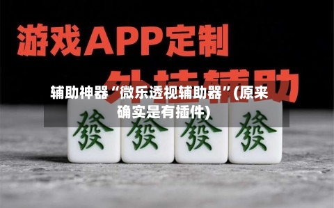 辅助神器“微乐透视辅助器”(原来确实是有插件)-第3张图片