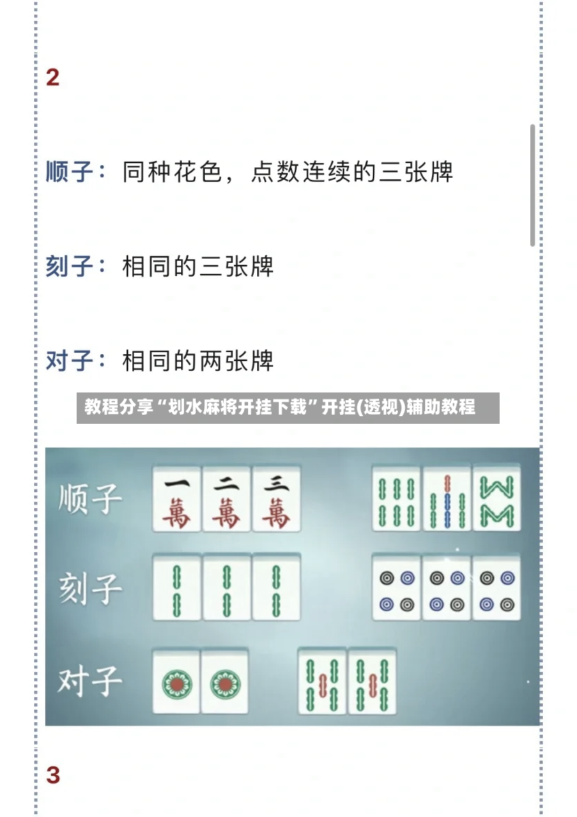 教程分享“划水麻将开挂下载”开挂(透视)辅助教程-第3张图片