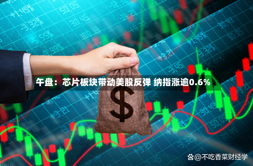 午盘：芯片板块带动美股反弹 纳指涨逾0.6%-第3张图片