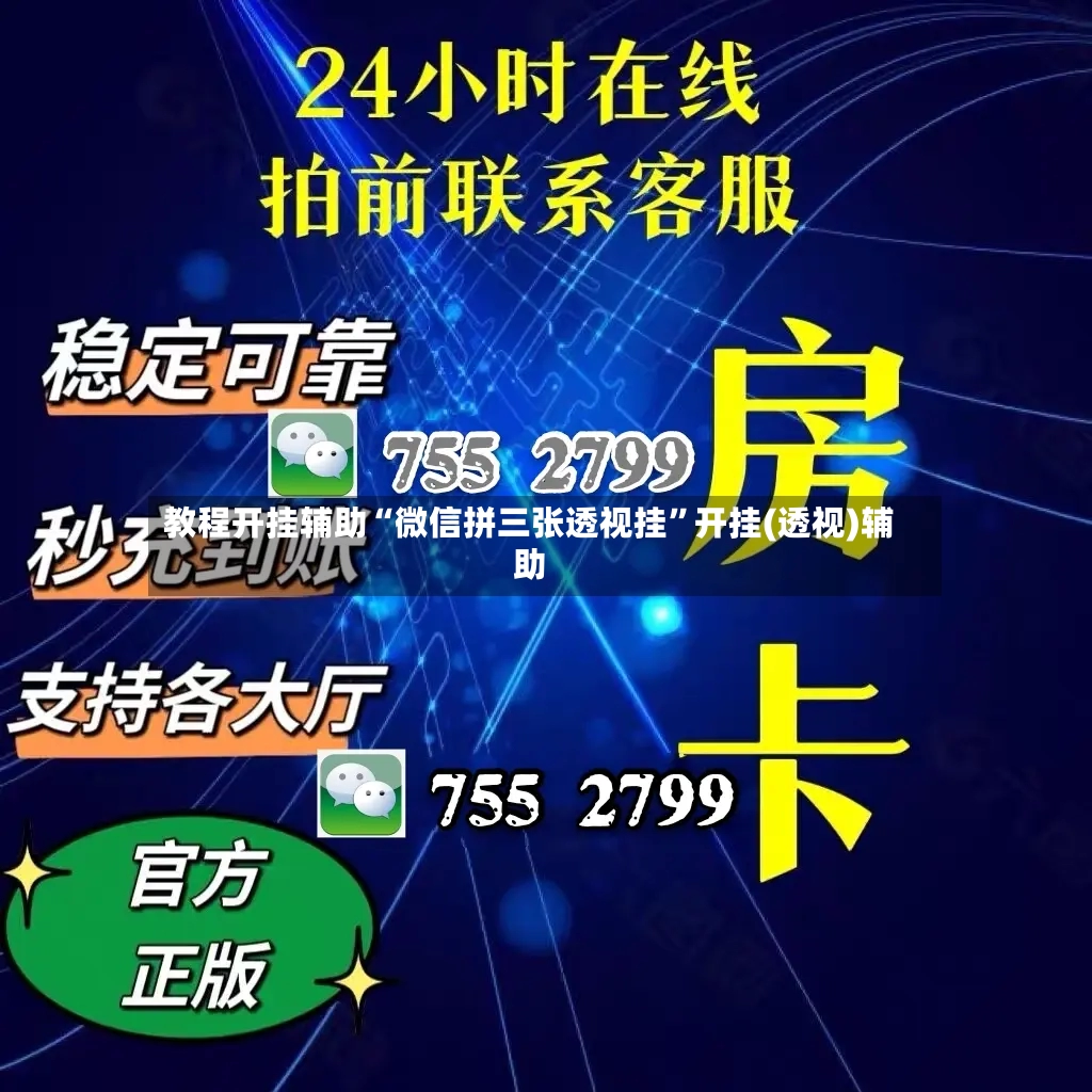 教程开挂辅助“微信拼三张透视挂”开挂(透视)辅助-第3张图片